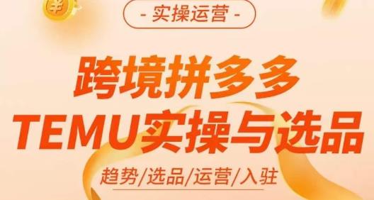 伍跃·跨境拼多多TEMU实操与选品，趋势/选品/运营/入住（27节完整）